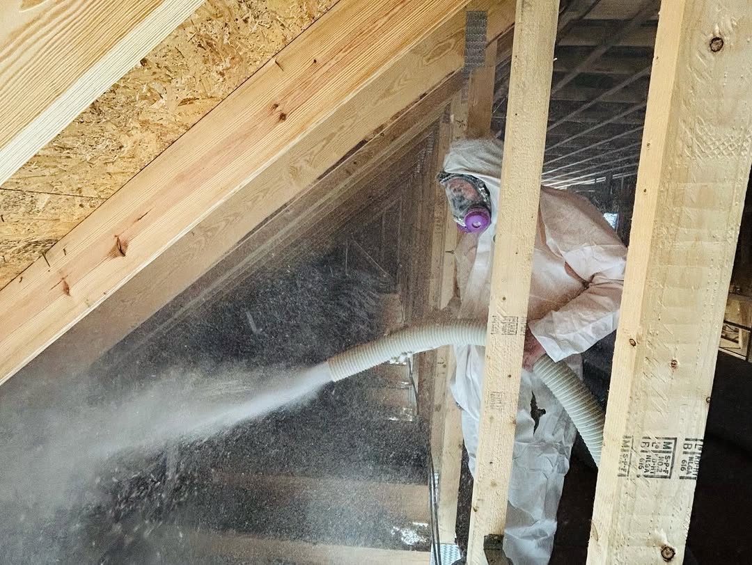 Professional Insulation